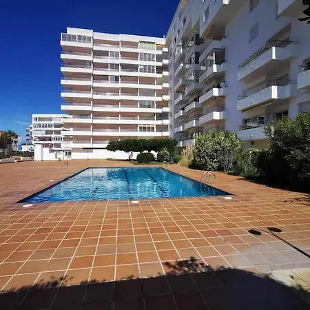 Spacieux Rose Front Et Piscine Roses