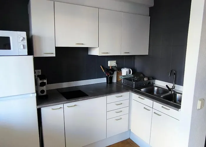 Spacieux Rose Front Et Piscine Roses